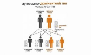 Особина гомозиготна за рецесивним алелем: що це таке і як її визначити