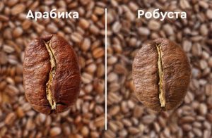 Яка кава краща арабіка чи робуста: смак, кофеїн і вибір